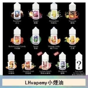 LHvapemy馬來西亞主機小煙油30ml